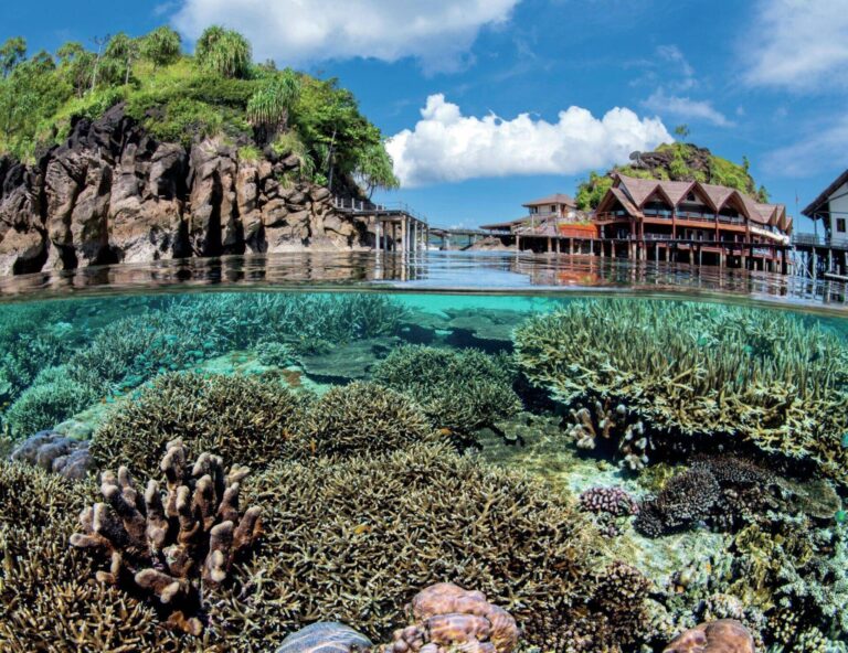 Photographing hard Corals: An Alex Mustard Masterclass