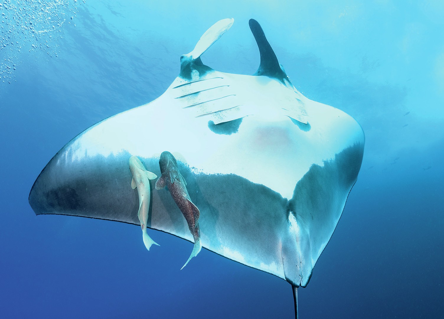 423729C8 614B 416E A175AE470AAA5128