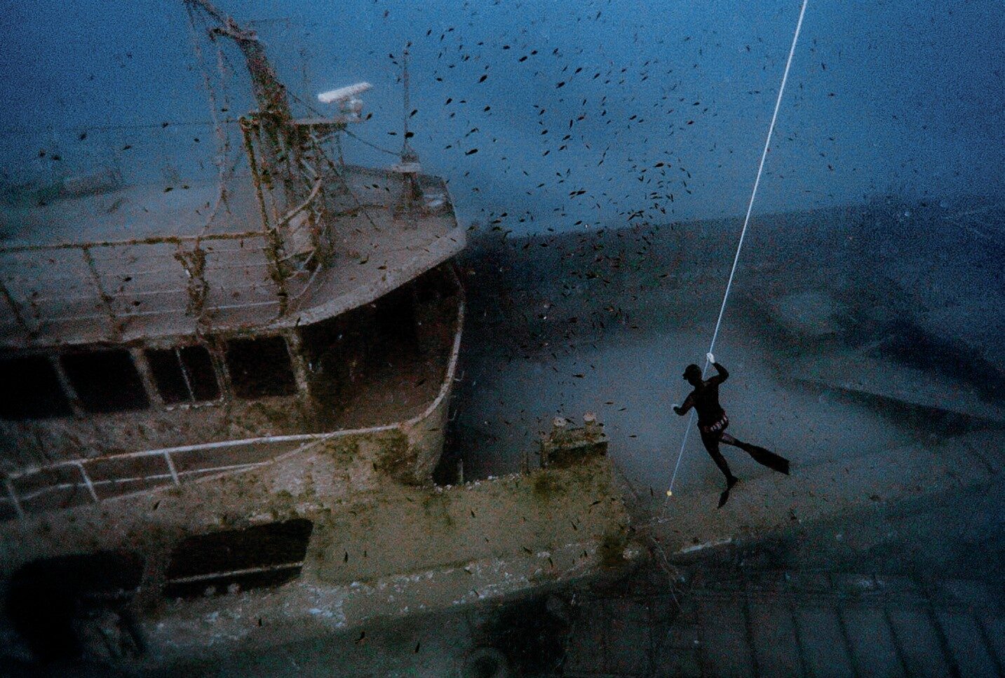 48C8E350 3135 4329 88B212C22EA9C920 1