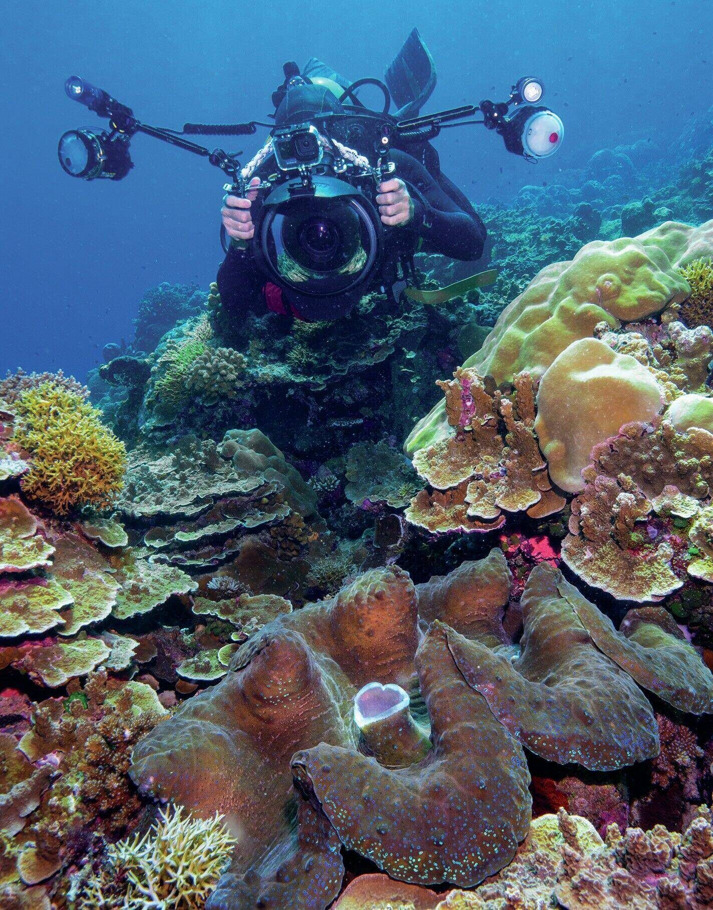 Backscatter Hybrid (HF-1) Strobe Review: 5,000-Lumen Hybrid Strobe and Video Light for Underwater Photography 1 Close-up of Backscatter Hybrid (HF-1) strobe front element with LED panel and diffuser.