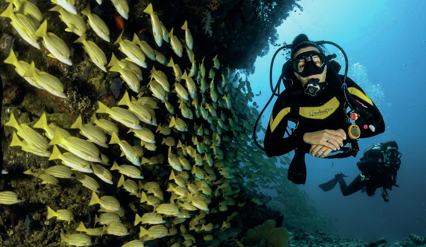 Ask DAN: Equalisation and Dizziness in Diving 2 724FC058 FB4C 40CF A390599FF07DE7D4 1