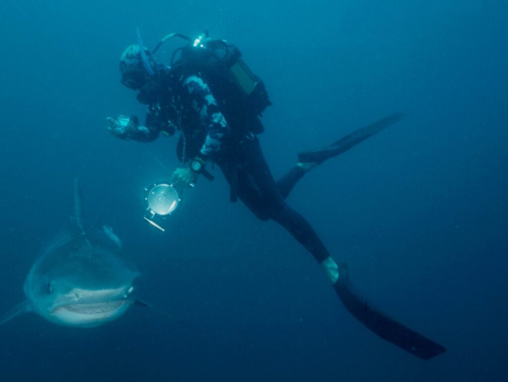 Eye of the tiger: Diving KwaZulu-Natal 11 Tiger passing under Rob at Otto’s Reef