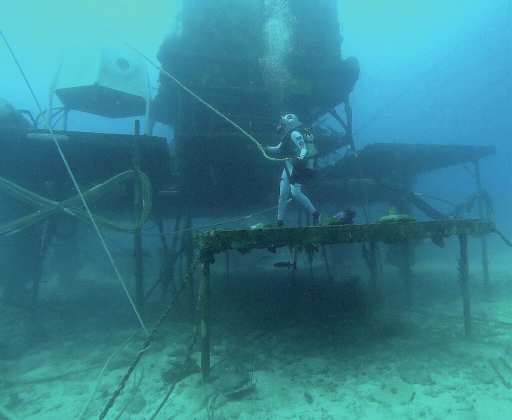 Dawn Kernagis Q&A Part 1: NASA Aquanaut and DEEP Director on the Future of Underwater Habitats 3 On NASA NEEMO 21 duties