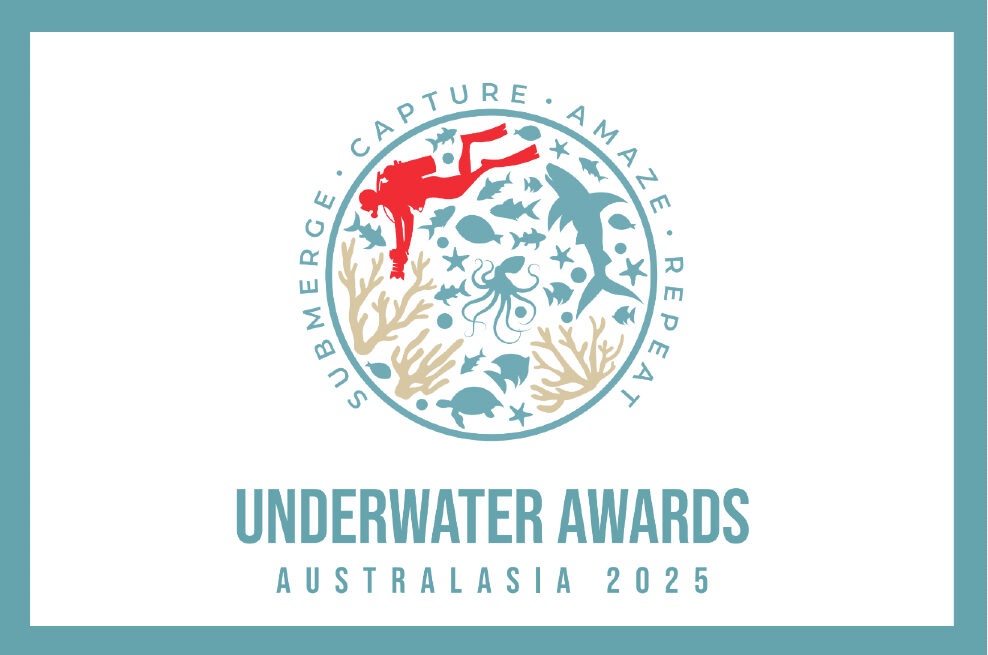 Jaw-dropping leopard seal wins U/W Awards Australasia 1 (Underwater Awards Australasia)