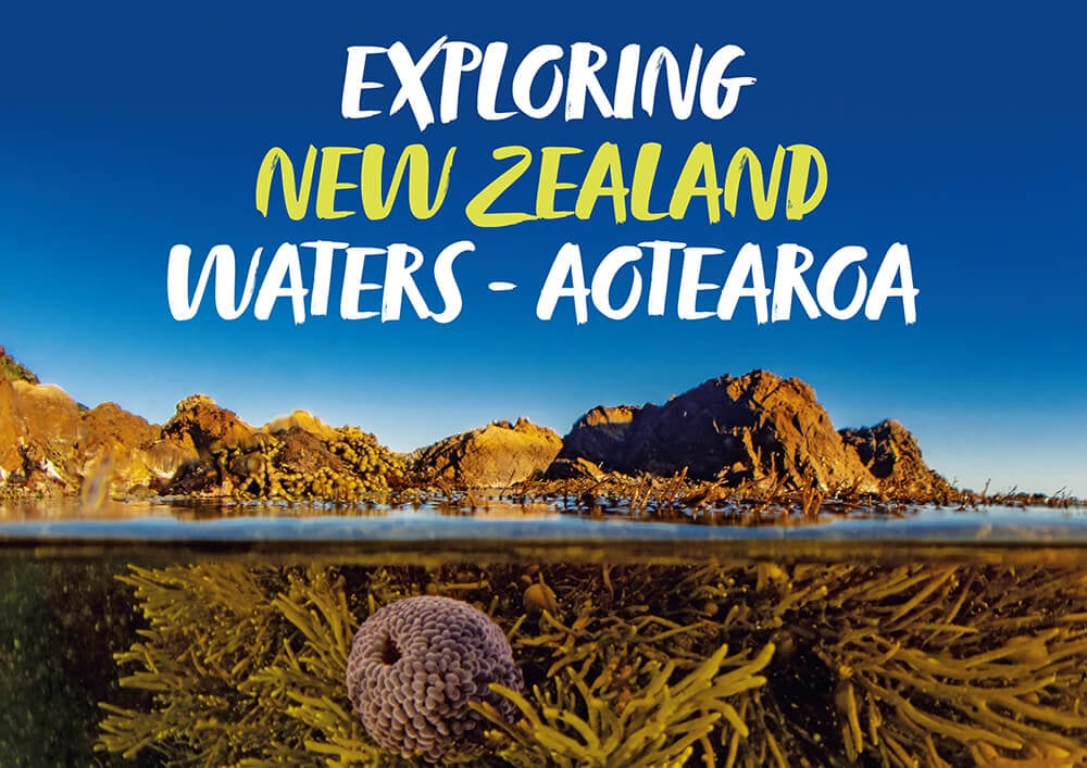 Diving New Zealand Waters: Exploring Aotearoa’s Reefs, Wrecks and Marine Reserves