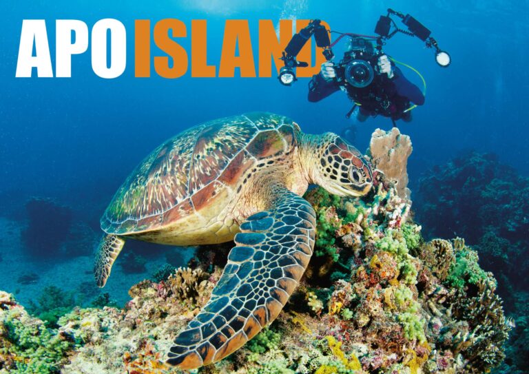 Apo Island Diving