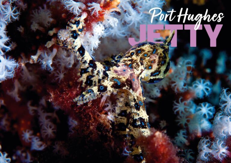 Port Hughes Jetty Dive