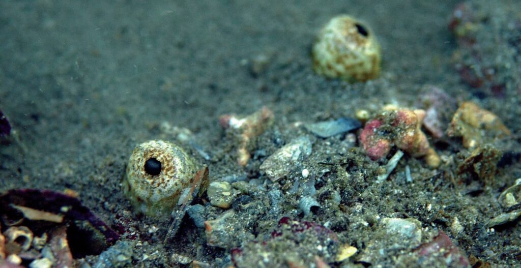 There's always something waiting to be found