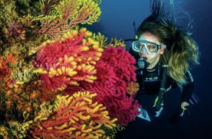 Contact Lenses and Low Iron Levels - What Divers Need to Know