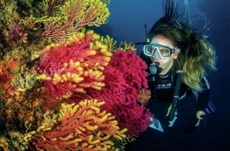 Contact Lenses and Low Iron Levels - What Divers Need to Know