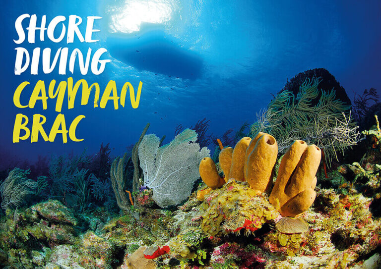 Shore Diving Cayman Brac