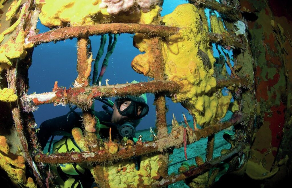 Shore Diving Cayman Brac: The Ultimate Guide to the Caribbean’s Best Dive Sites 3 Sponge growth is taking over on the Buccaneer wreck