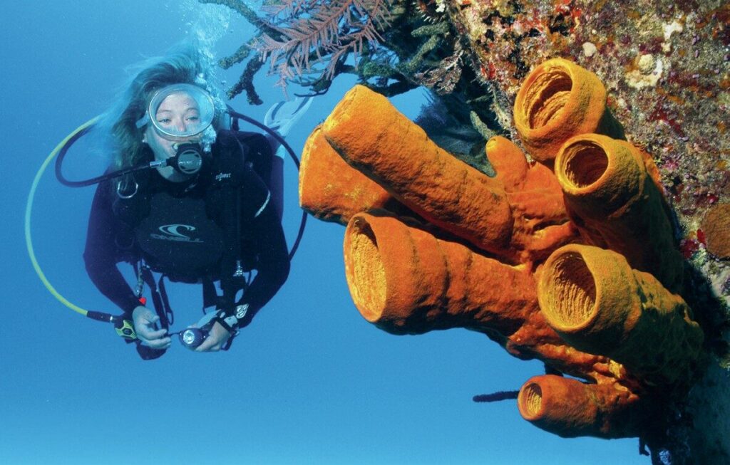 Shore Diving Cayman Brac: The Ultimate Guide to the Caribbean’s Best Dive Sites 5 Diver explores the Captain Keith Tibbetts wreck off Cayman Brac, a top Caribbean shore diving site