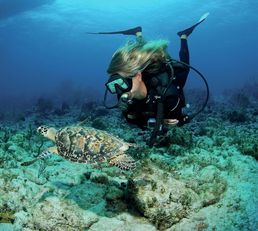Shore Diving Cayman Brac: The Ultimate Guide to the Caribbean’s Best Dive Sites 11 A diver having a close encounter with a turtle