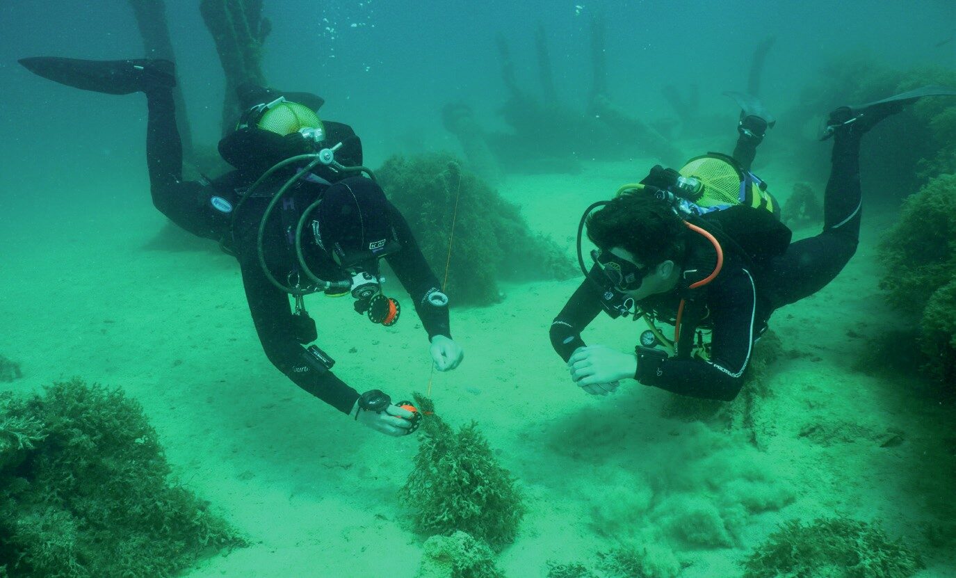 PADI Wreck Diver student practicing line laying around the HMS Maori wreck in Malta