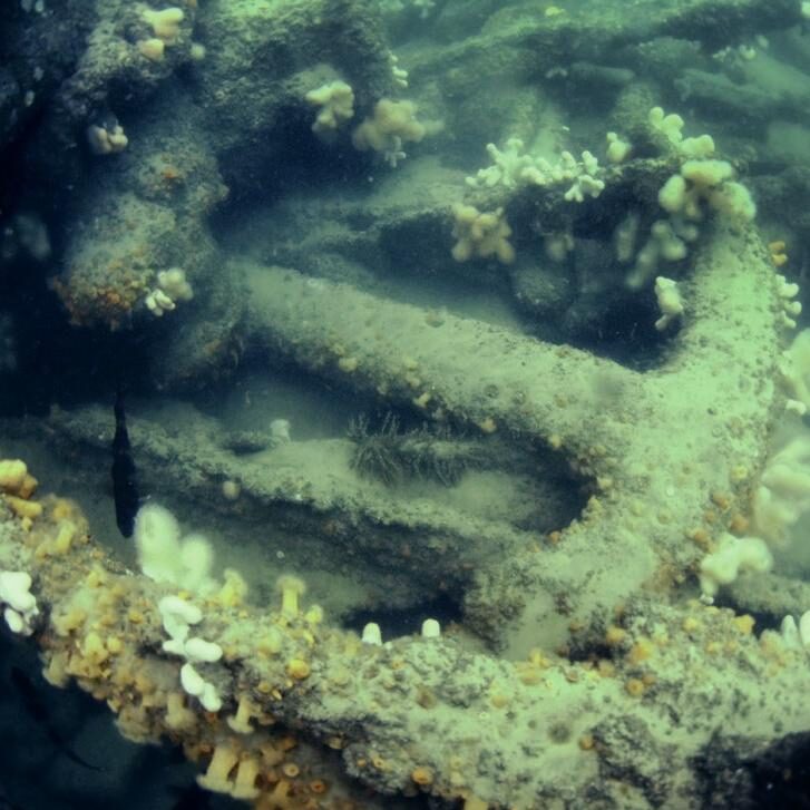 Rediscovering the North Wales Wreck: 19th-Century Collier Found Off the Norfolk Coast 6 The anchor of the North Wales lying among the wreckage