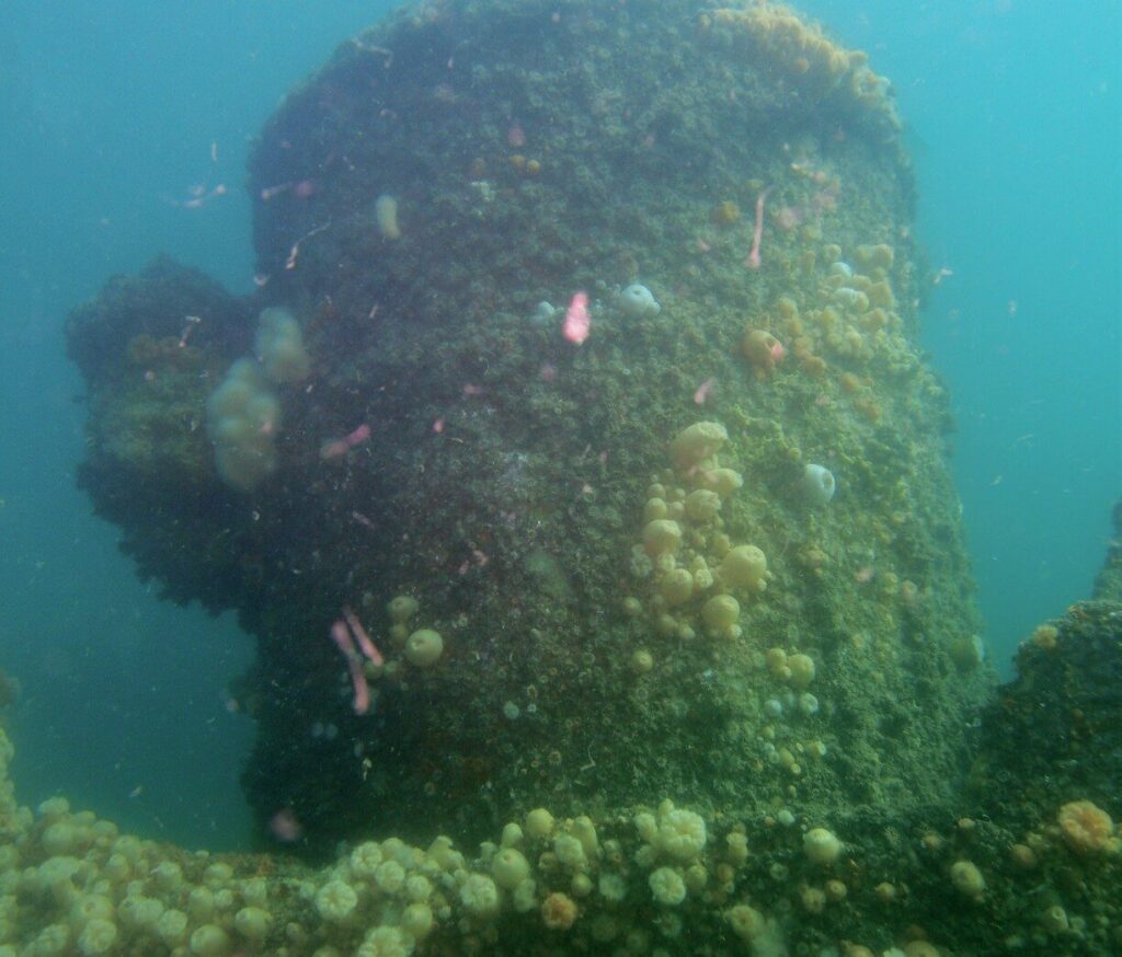 Rediscovering the North Wales Wreck: 19th-Century Collier Found Off the Norfolk Coast 9 The wreck is still imposing all these years on