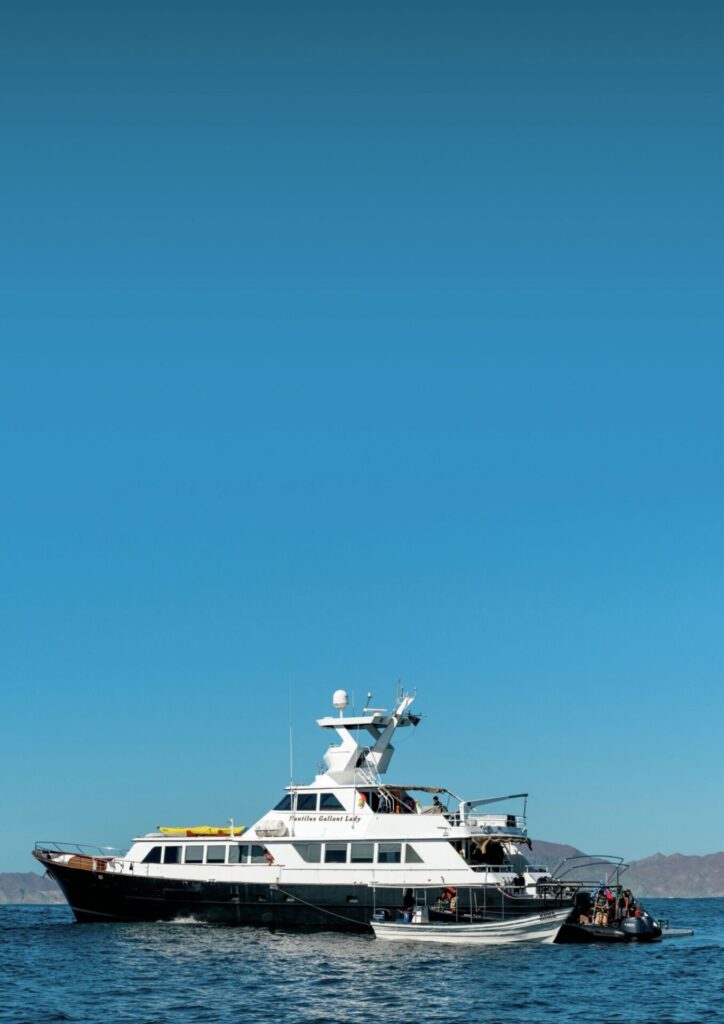 Gallant Lady from Nautilus Adventures offers liveaboard trips to Magdalena Bay