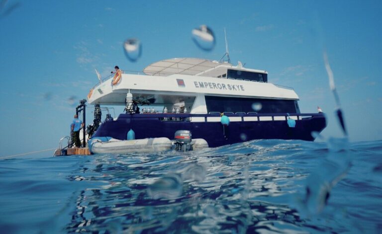 How to Prevent and Treat Seasickness While Diving