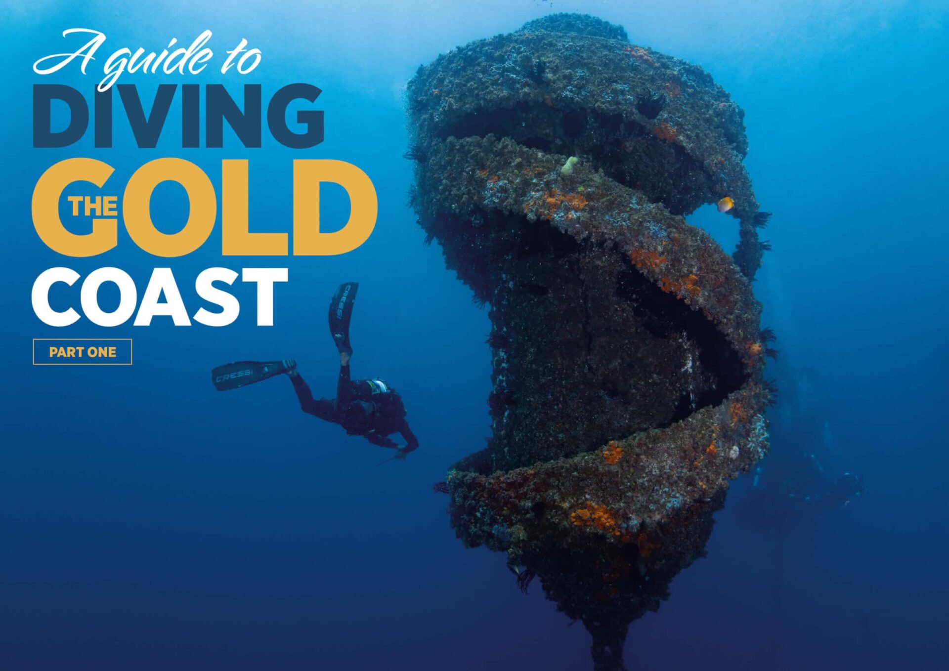 A Guide to Diving the Gold Coast – Part 1: Wonder Reef, Scottish Prince & Local Dive Sites