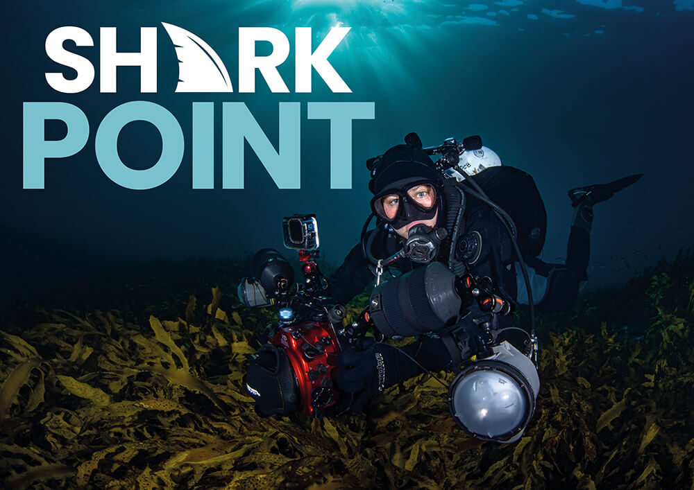 Shark Point, Sydney: The Ultimate Shore Dive Adventure in Clovelly