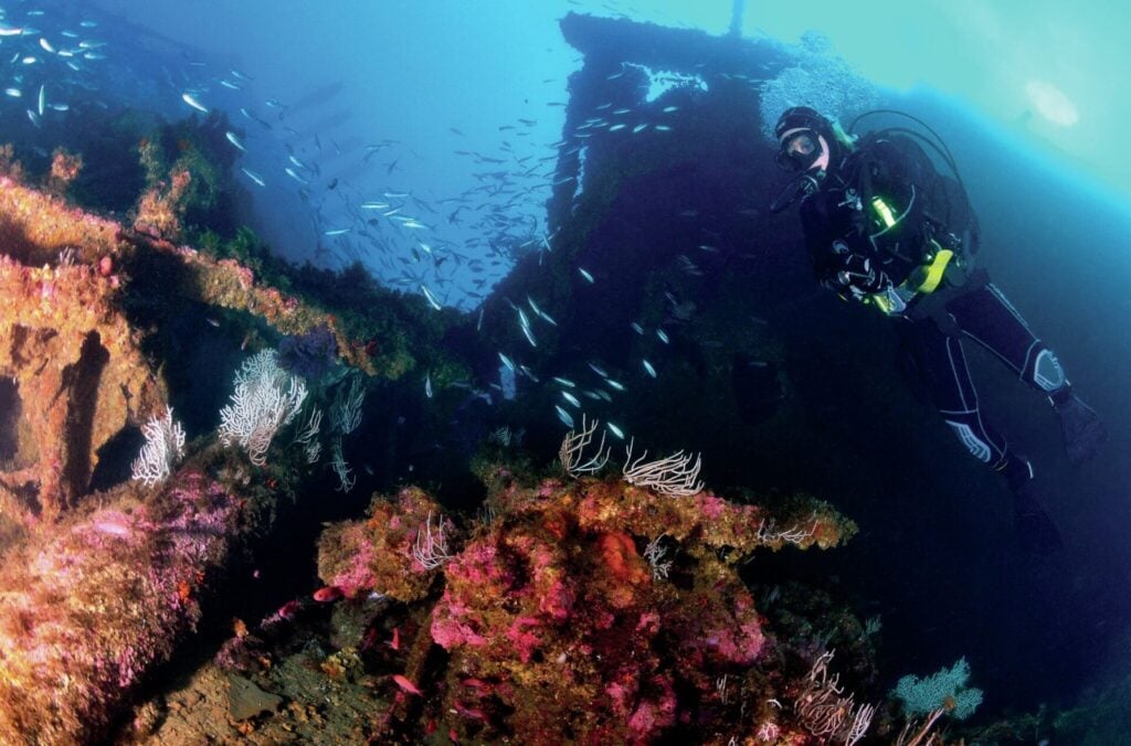 Diver inspecting the SS Rosslyn