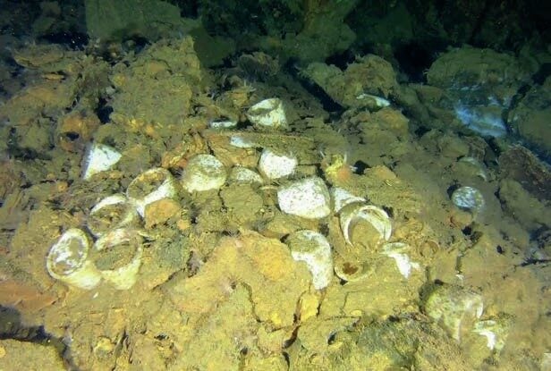 Plates and other artefacts inside the wreck’s crew area