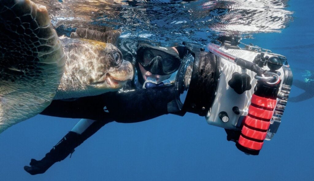 Brandi taking a turtle selfie!