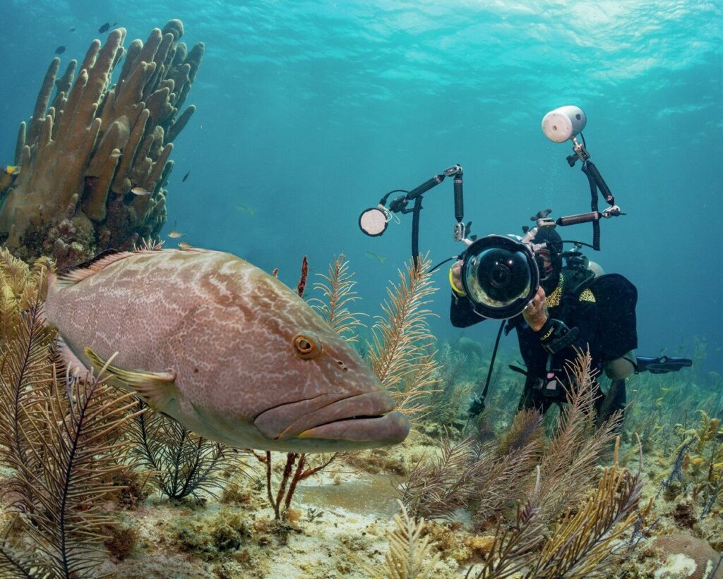 Stephen in action photographing a large grouper