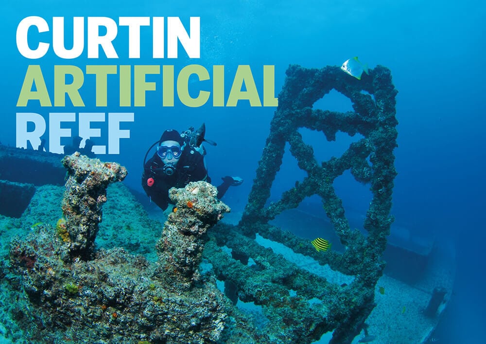 Curtin Artificial Reef: Brisbane’s Historic Dive Site in Moreton Bay