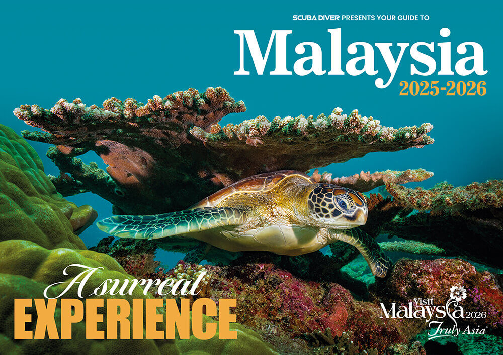 Diving in Malaysia: A Surreal Experience Above and Below the Surface