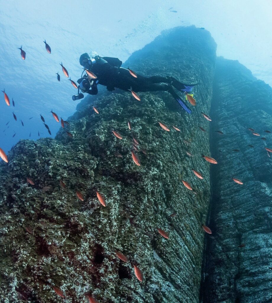 Diver cruising along an impressive wall in the Revillagigedo Islands