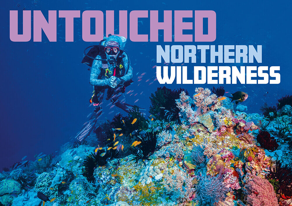 Untouched Northern Wilderness: Liveaboard Diving the Remote Reefs of Far North Queensland