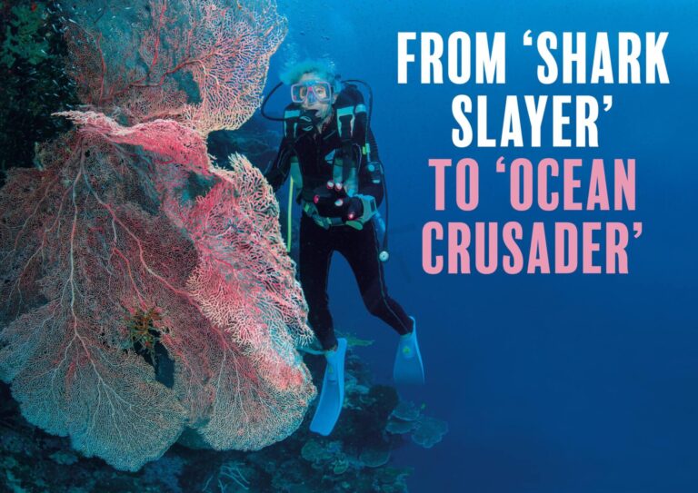 Valerie Taylor: The Shark Lady’s Enduring Legacy in Ocean Conservation and Shark Protection