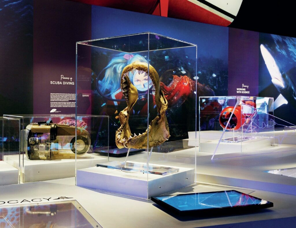 Valerie Taylor: The Shark Lady’s Enduring Legacy in Ocean Conservation and Shark Protection 1 The Valerie Taylor Exhibition in Sydney