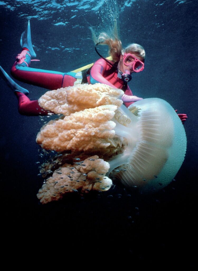 Valerie Taylor: The Shark Lady’s Enduring Legacy in Ocean Conservation and Shark Protection 4 Valerie Taylor scuba diving