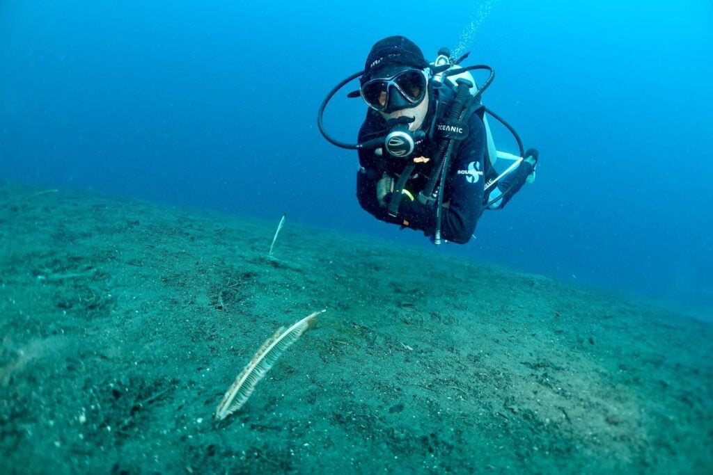 Albert over the muck slope with sea pen
