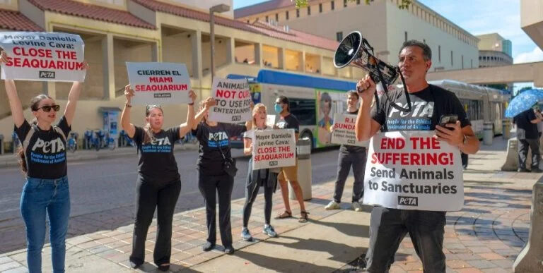 Taking it to the streets - campaigners against the Seaquarium (PETA)