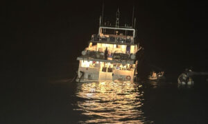 The Royal Evolution at Abu Dabbab (John Southill)