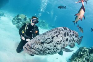 The Great Australian Dive Challenge.