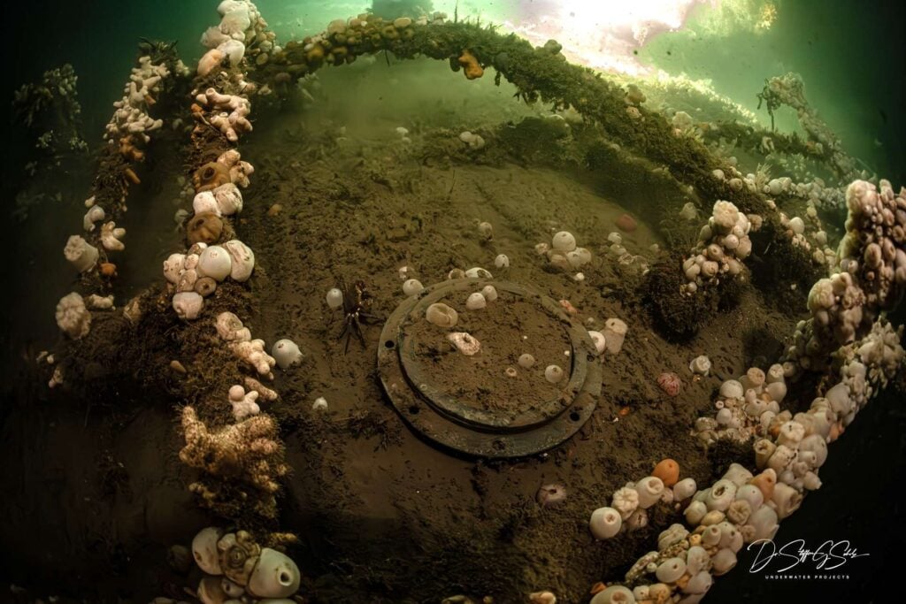 Cargo hold area (Dr Steffen G Scholz)
