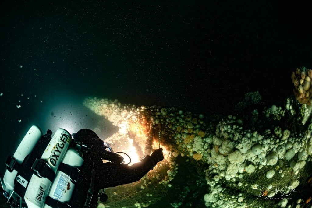 Exploring the wreck of HMS Bayano (Steffen Scholz)