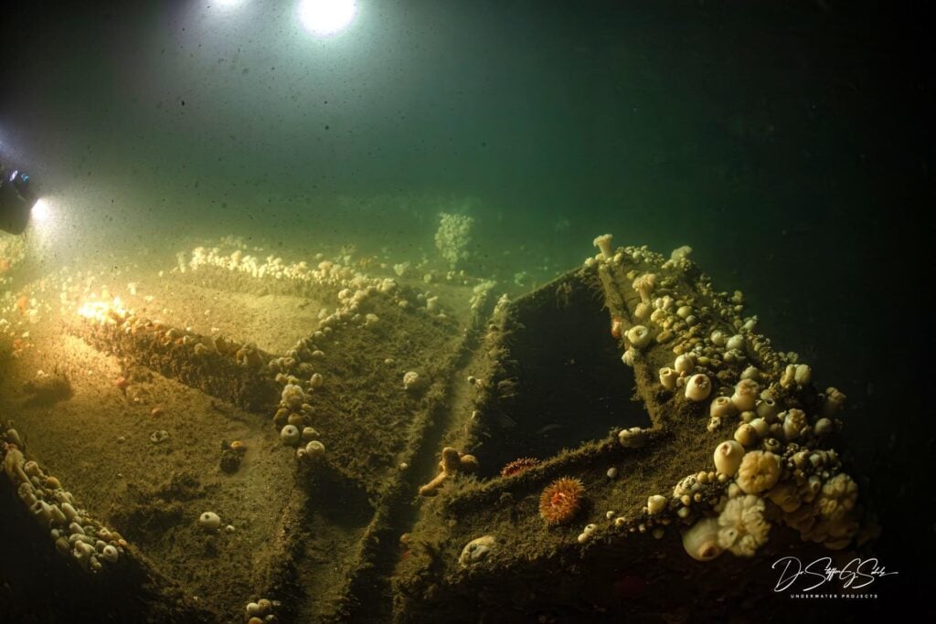 Skylight structure near the aft cargo hold, part of the original ventilation system (Dr Steffen G Scholz)