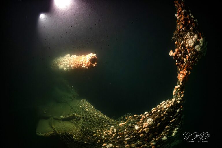 Barrel of a 6in gun on the bow, still offset on the starboard rail (Steffen Scholz)