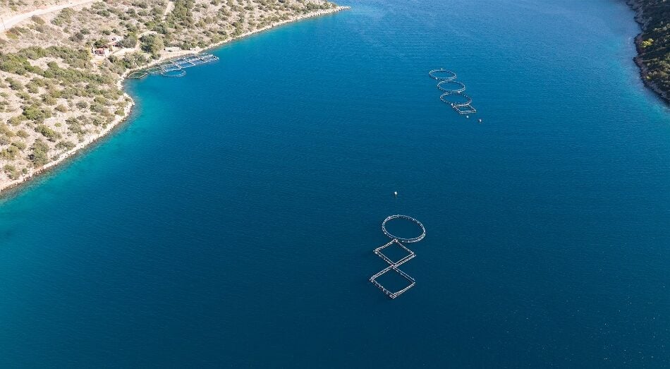 The site before the operation (Healthy Seas Foundation)