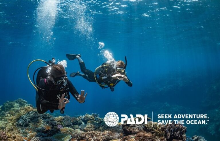 PADI: Still expanding