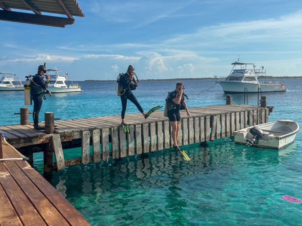 Buddy Dive Resort