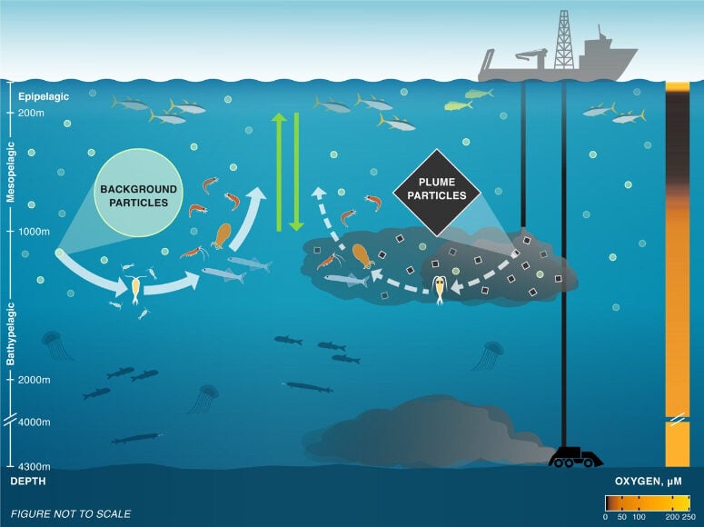 Midwater impact of deep-sea mining waste discharge (UH at Mānoa)