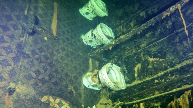 Toilets, showing how intact the Brtiannic remains (Richie Kohler)