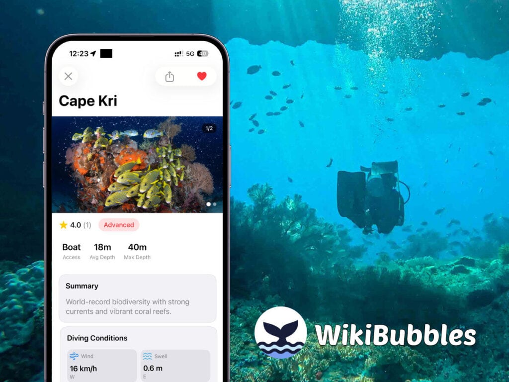 WikiBubbles, real time dive conditions and weather.